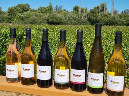 Seven wine bottles in a vineyard setting.