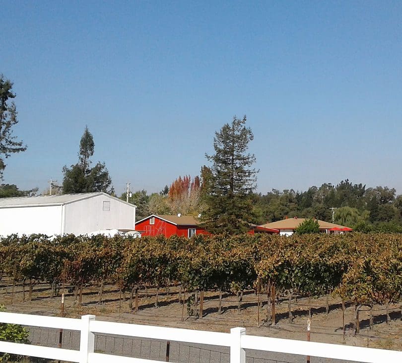 A red barn and some trees in the background