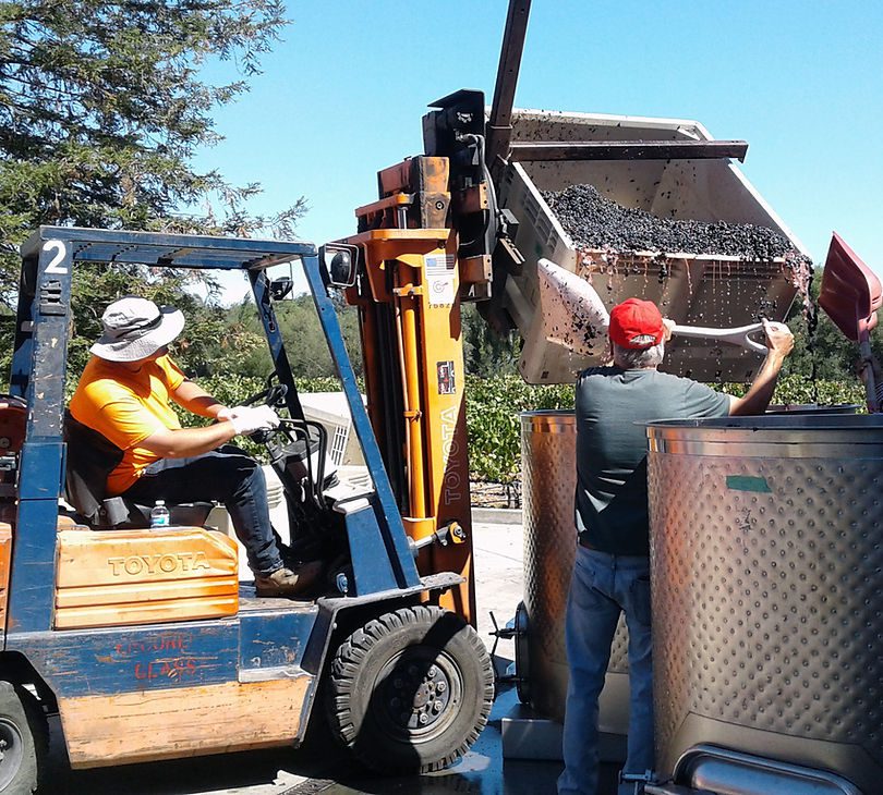 A forklift is loading wine into a container.