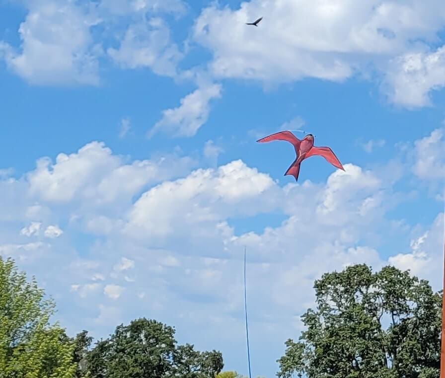 A red kite flying in the sky above some trees