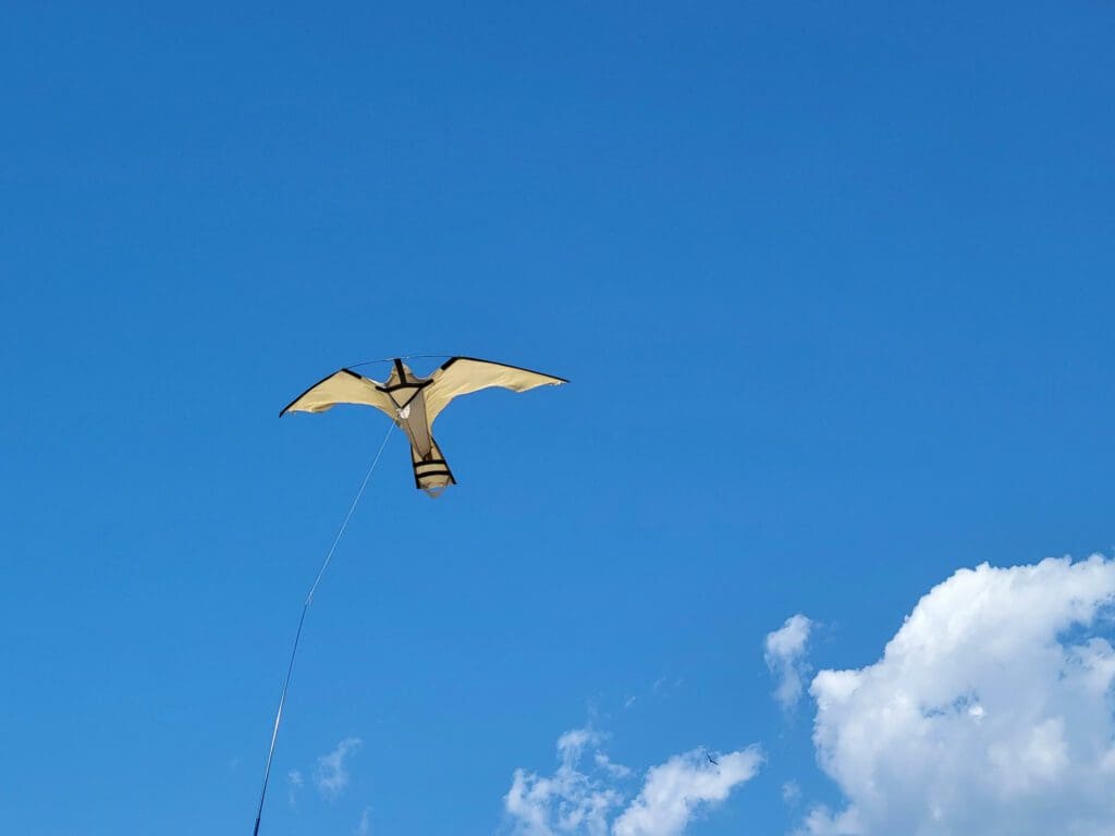 A bird flying in the sky with clouds above