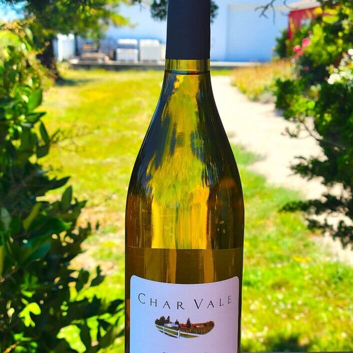 Chardonnay wine bottle outside in sunlight