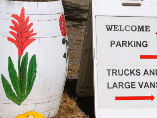 A Vase In White Color With Flowers